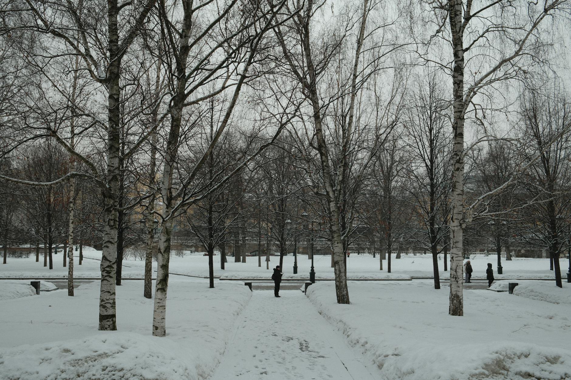 Practical Ordering Scenarios in Russian