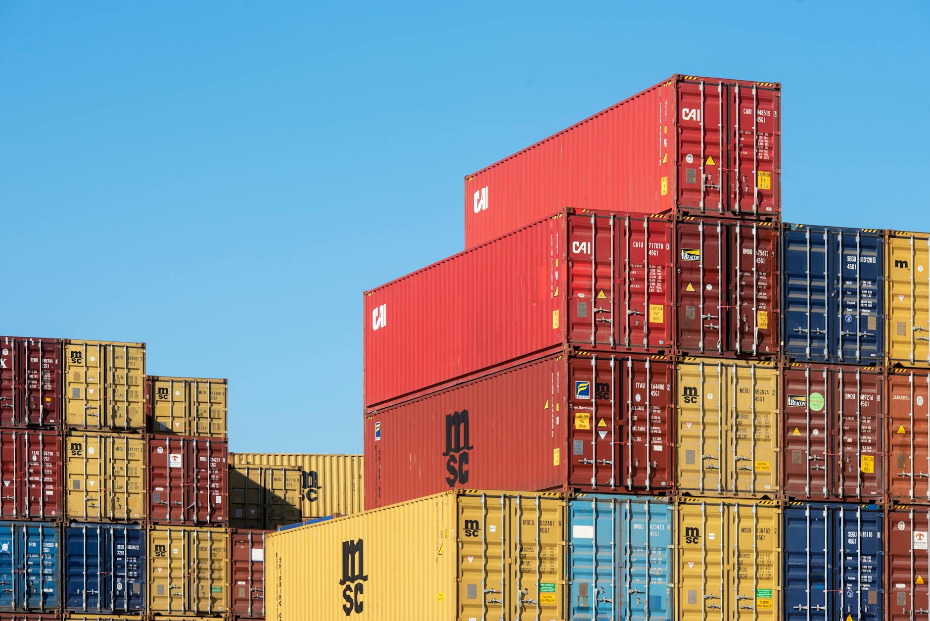 Practical Logistics for International Visitors