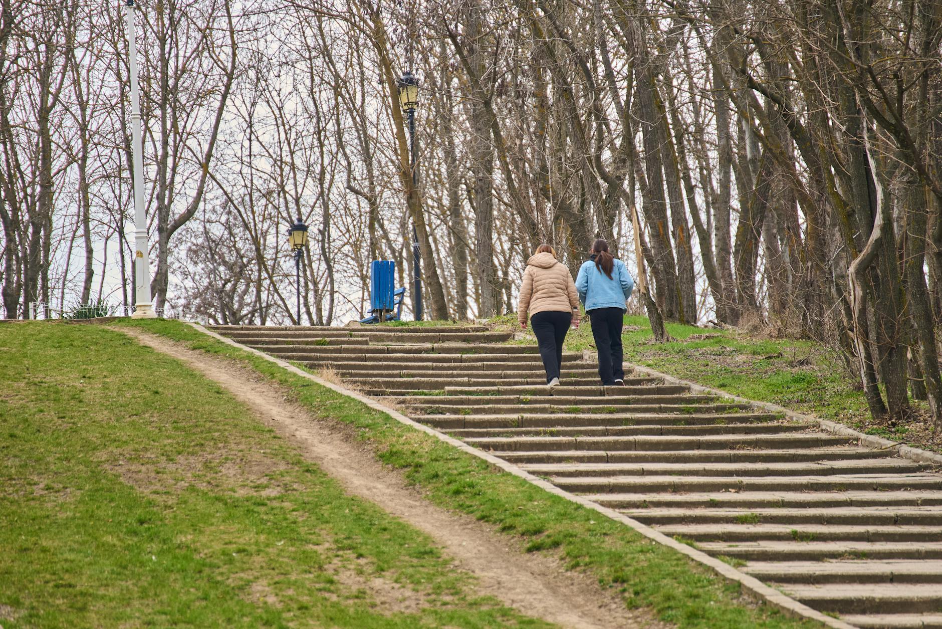 Step-by-Step Application Process and Where to Submit